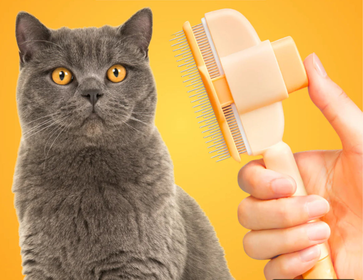 BROSSE - Élimine les poils et soulage la douleur