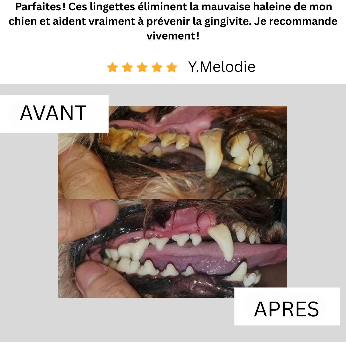Lingettes dentaires naturelles pour animaux de compagnie
